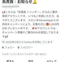 偽鳥貴族のアカウント