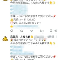偽鳥貴族のタイムライン