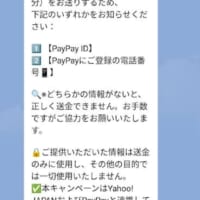 PayPayの情報を求められる