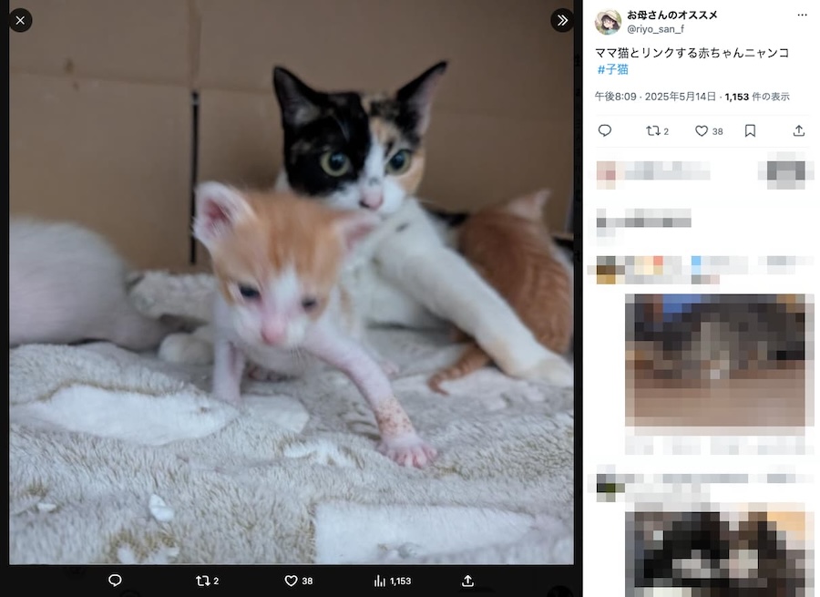 見事なシンクロ