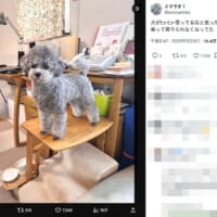 気がついたらこの状態