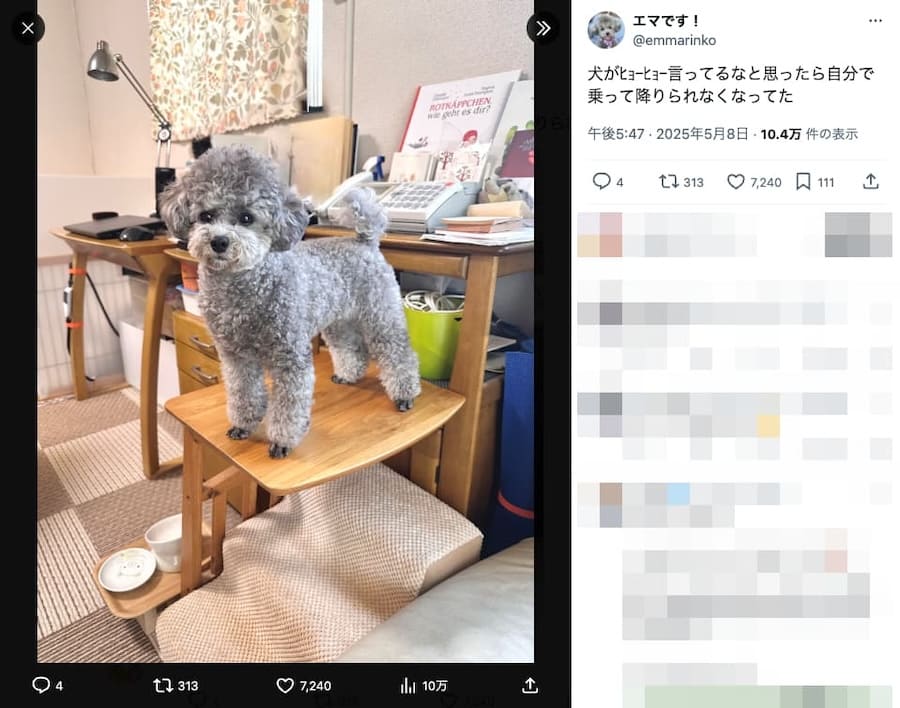 気がついたらこの状態