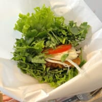 パクチー全振り、狂気のチキンバーガー誕生！想像の15倍で草