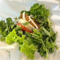 どこから見てもパクチー