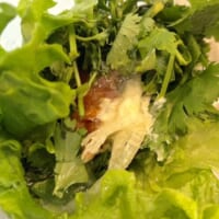 塩レモンソースもおすすめ