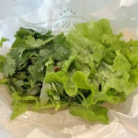 チキンが埋もれている