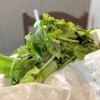 青臭さの奥に旨味を感じる