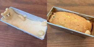 どうしてこうなった……クマのパウンドケーキがまさかの力士級に