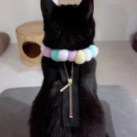猫ちゃんの背中にファスナーが？　トリック写真にびっくり