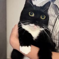 ぬいぐるみのようなララちゃん