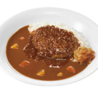 煮込みハンバーグカレー