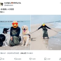 ワンちゃんとの3ショットの裏では……多頭飼いの「理想と現実」が大変そうで幸せそう