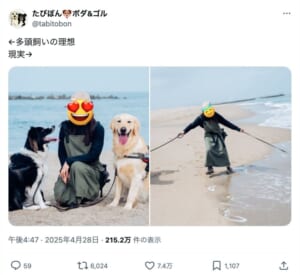 ワンちゃんとの3ショットの裏では……多頭飼いの「理想と現実」が大変そうで幸せそう