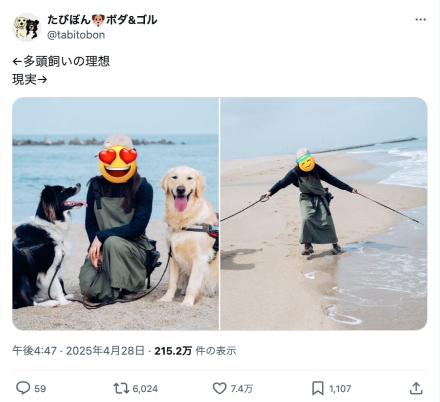ワンちゃんとの3ショットの裏では……多頭飼いの「理想と現実」が大変そうで幸せそう
