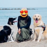 理想