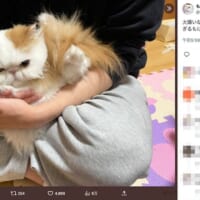 弟さんのことが大嫌い