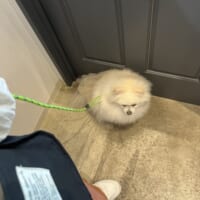 毎回の光景