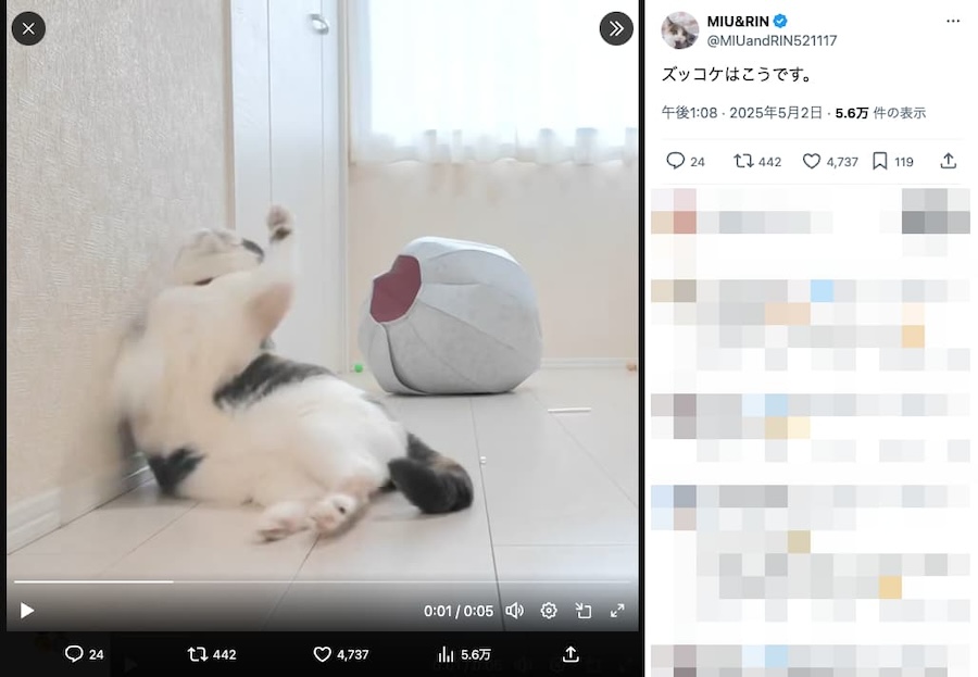 ズコーっ！床にひっくり返る猫ちゃんの、ダイナミックなズッコケ姿