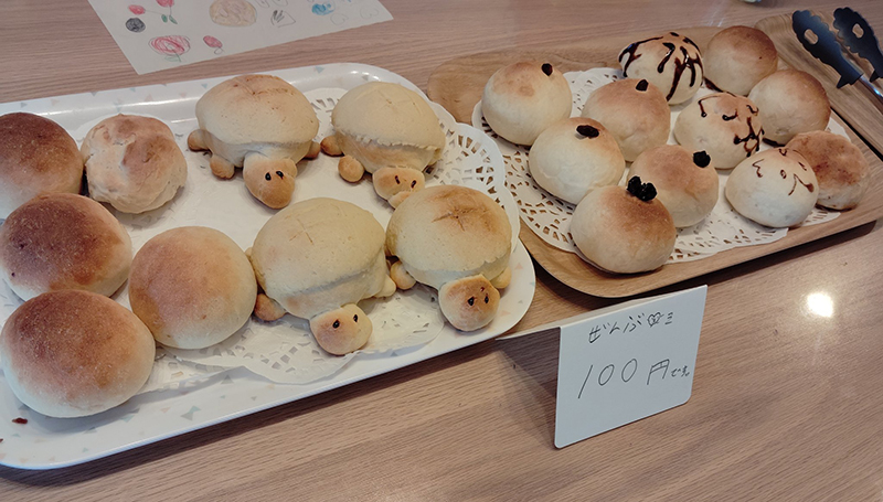 クッキー生地から手作りした自慢の「カメロンパン」