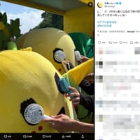 シュールすぎる熱中症対策