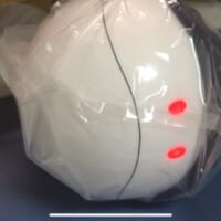 パック詰め状態も再現