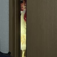 ヒェッ……ニワトリが扉の隙間からじっと見つめてくる！実は親切な行動だった？