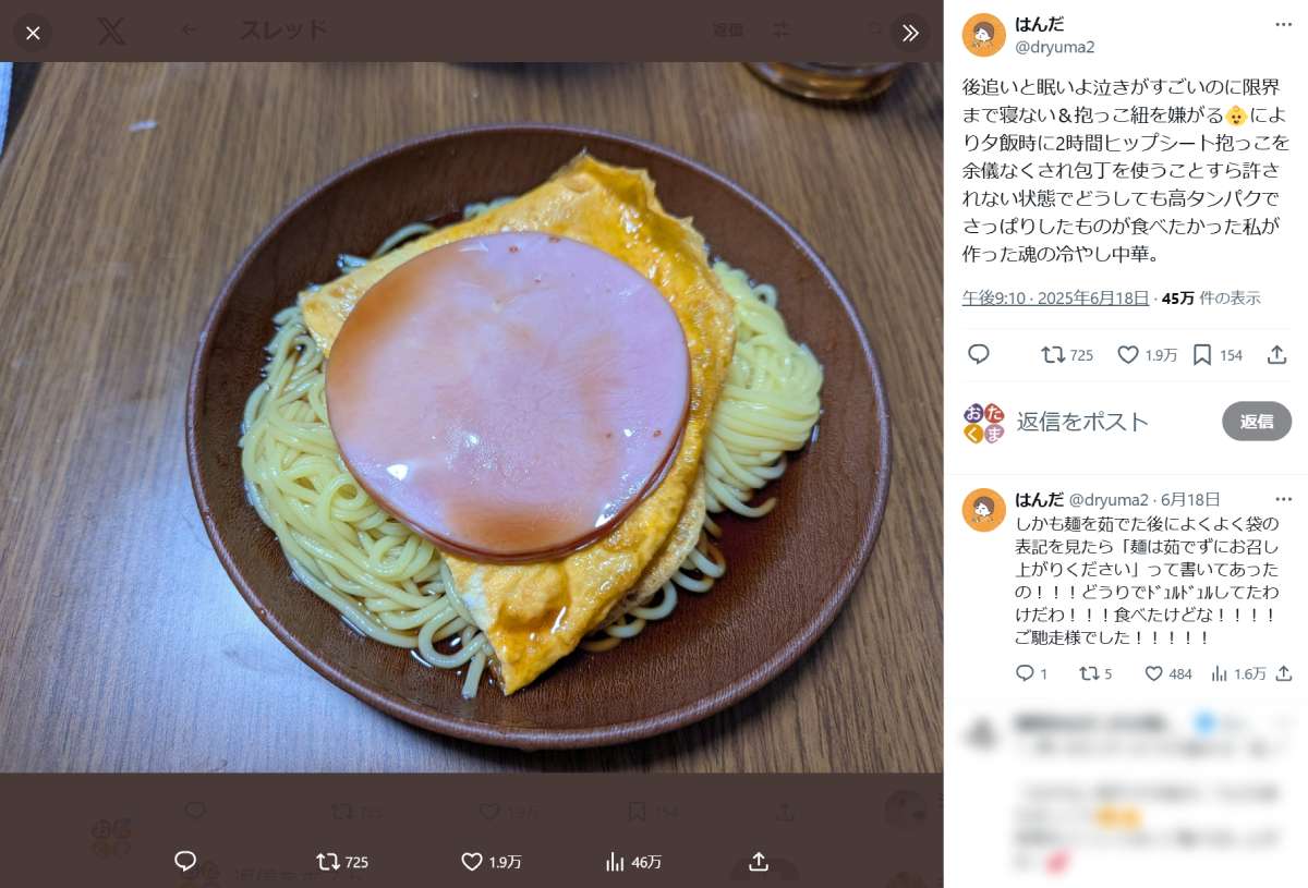 一見大雑把に見えるも……育児経験者が共感する「魂の冷やし中華」に反響