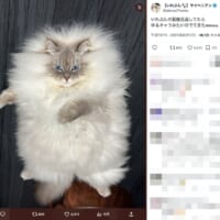 覚醒の瞬間？