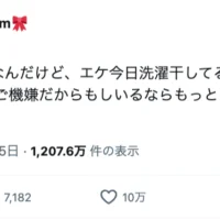 赤ちゃんが微笑む事故物件の不思議な日常　母「もしいるならもっと出てきて」