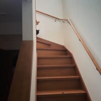 う◯ちが落ちてる