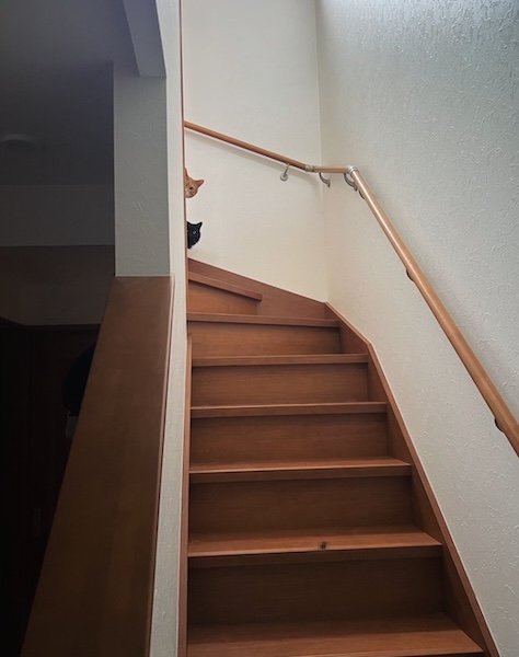 う◯ちが落ちてる