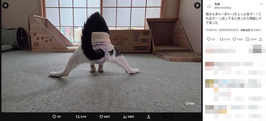見事な後ろ姿