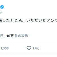 間違いを指摘した後の回答は「ごめんください」