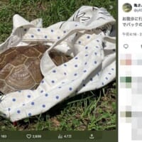 笑ってるようにも見える
