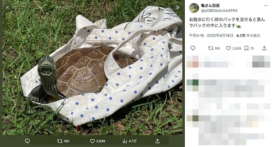 笑ってるようにも見える
