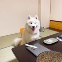 眉毛がくっきり見えたことは過去にも