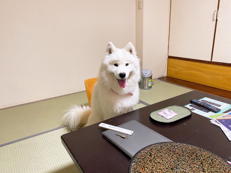 眉毛がくっきり見えたことは過去にも