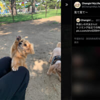 手を上げるように前足をあげ、上目遣いで肉球を見せるモコナモドキ君