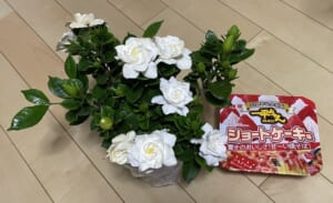好物×好物＝大好物？焼きそばとケーキが好きな母に贈られた“完璧”なプレゼント