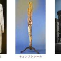 長崎大学が保管する資料