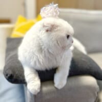初回からまったく遊ばなかったおもちゃも