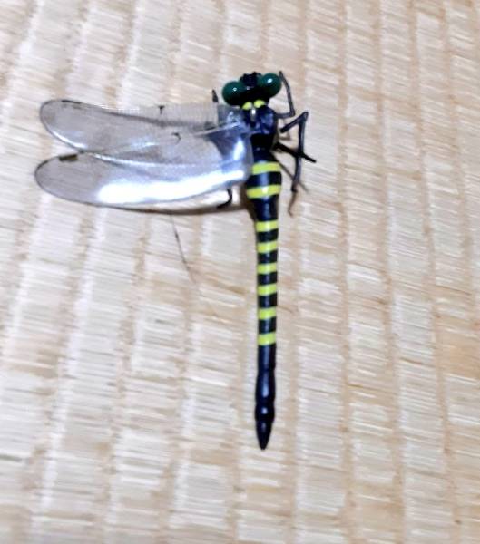 オニヤンマの羽が取れてしまった状態