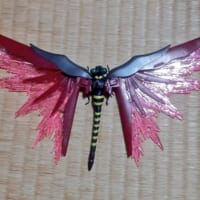 くまだいさんが修理したデスティニーオニヤンマ