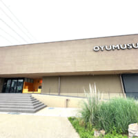 茨城県常総市「ONSEN＆SAUNA お湯むすび」
