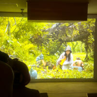 究極のサウナストーンを求めて銀河を旅する主人公が、熱波師として活躍する星人と出会うストーリー