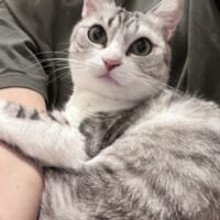 普段のぴよさんのようす