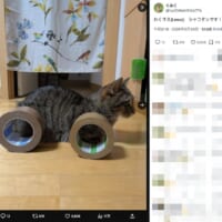 美しいフォルム