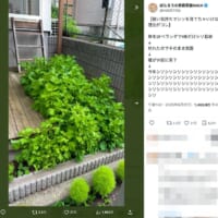 食べる以外にも使い道が？