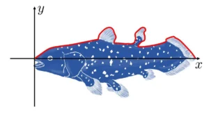 数式を組むとシーラカンスが浮かび上がる？実在しない「シーラ関数」が