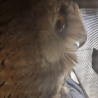 待合室でのようす